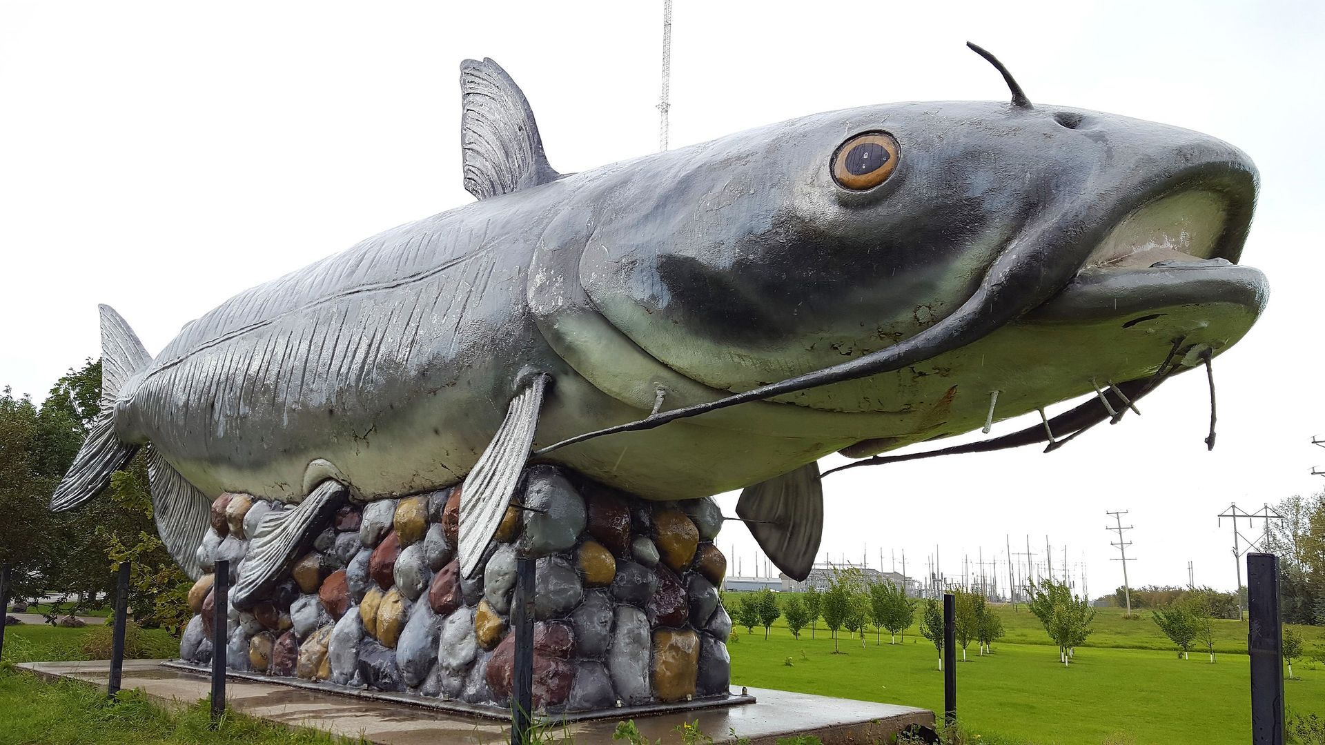 World's Largest Catfish Statue: world record in Wahpeton, North Dakota