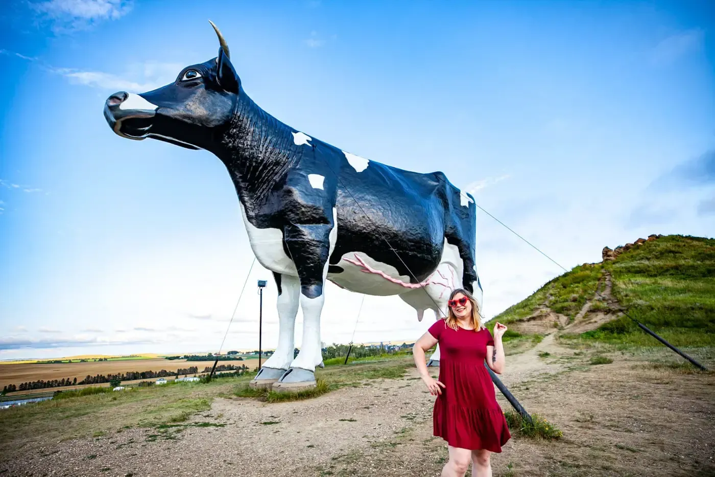 World's Largest Holstein Cow Sculpture: world record in New Salem, North Dakota