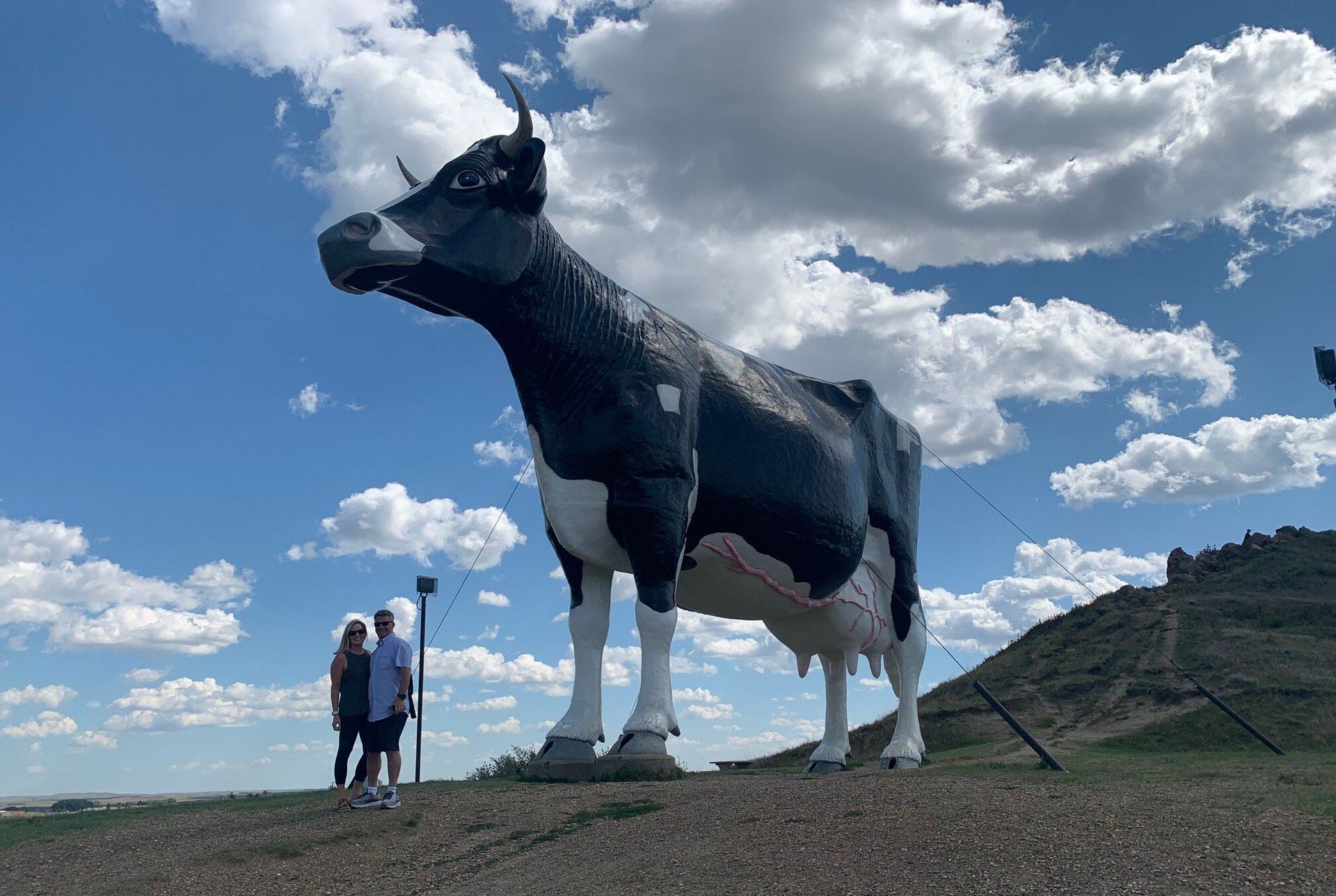 World's Largest Holstein Cow Sculpture: world record in New Salem, North Dakota