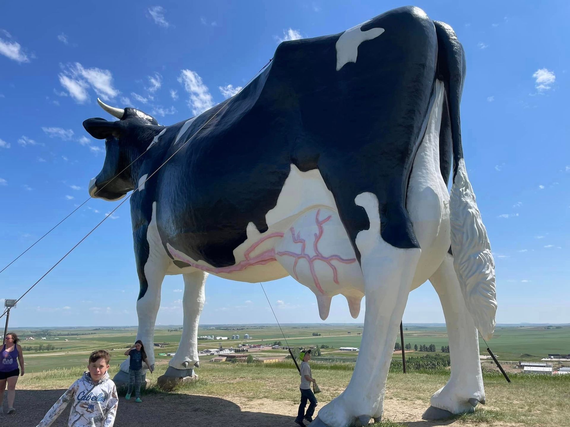 World's Largest Holstein Cow Sculpture: world record in New Salem, North Dakota