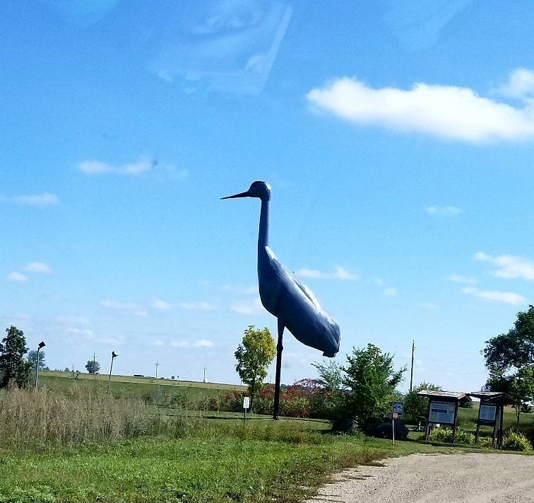 World's Largest Sandhill Crane Sculpture: world record in Steele, North Dakota