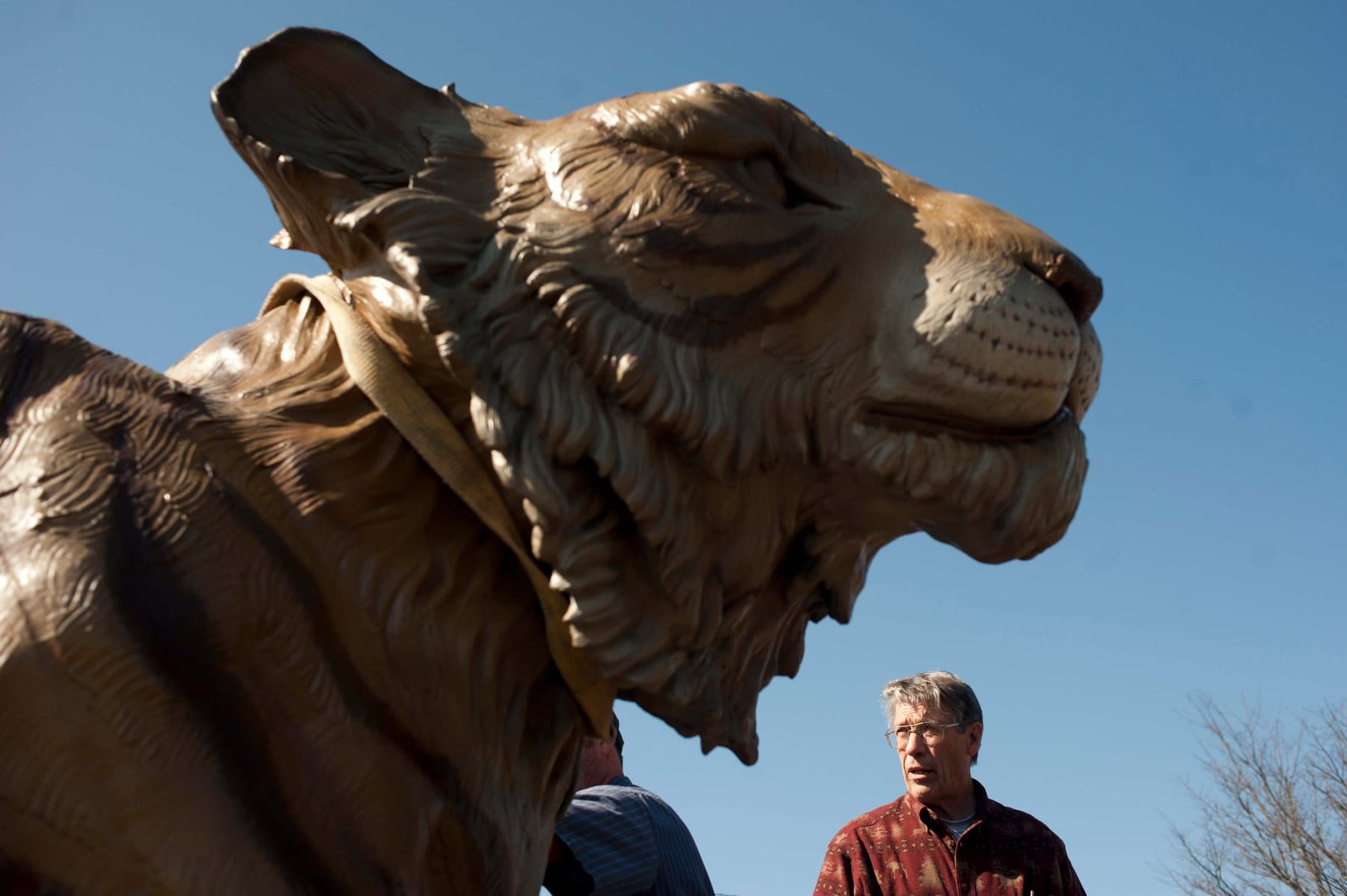 World’s Largest Golden Tiger Sculpture: world record in Gainesville, Georgia