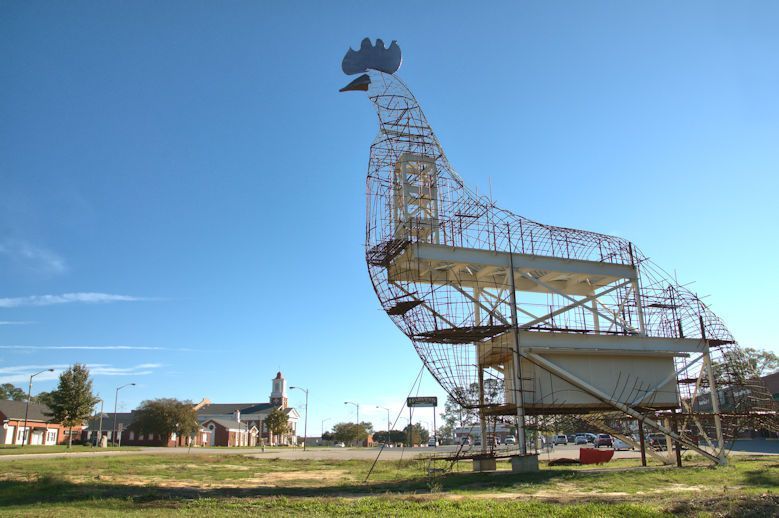 World's Largest Skeletal Chicken: world record in Fitzgerald, Georgia