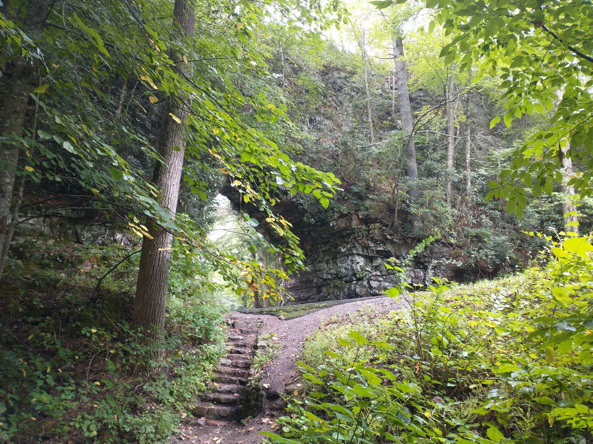 World's Shortest Highway Tunnel: world record in Shady Valley, Tennessee