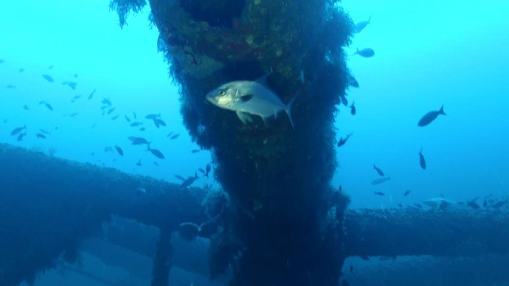 World’s largest artificial reef: world record off Grand Isle, Louisiana