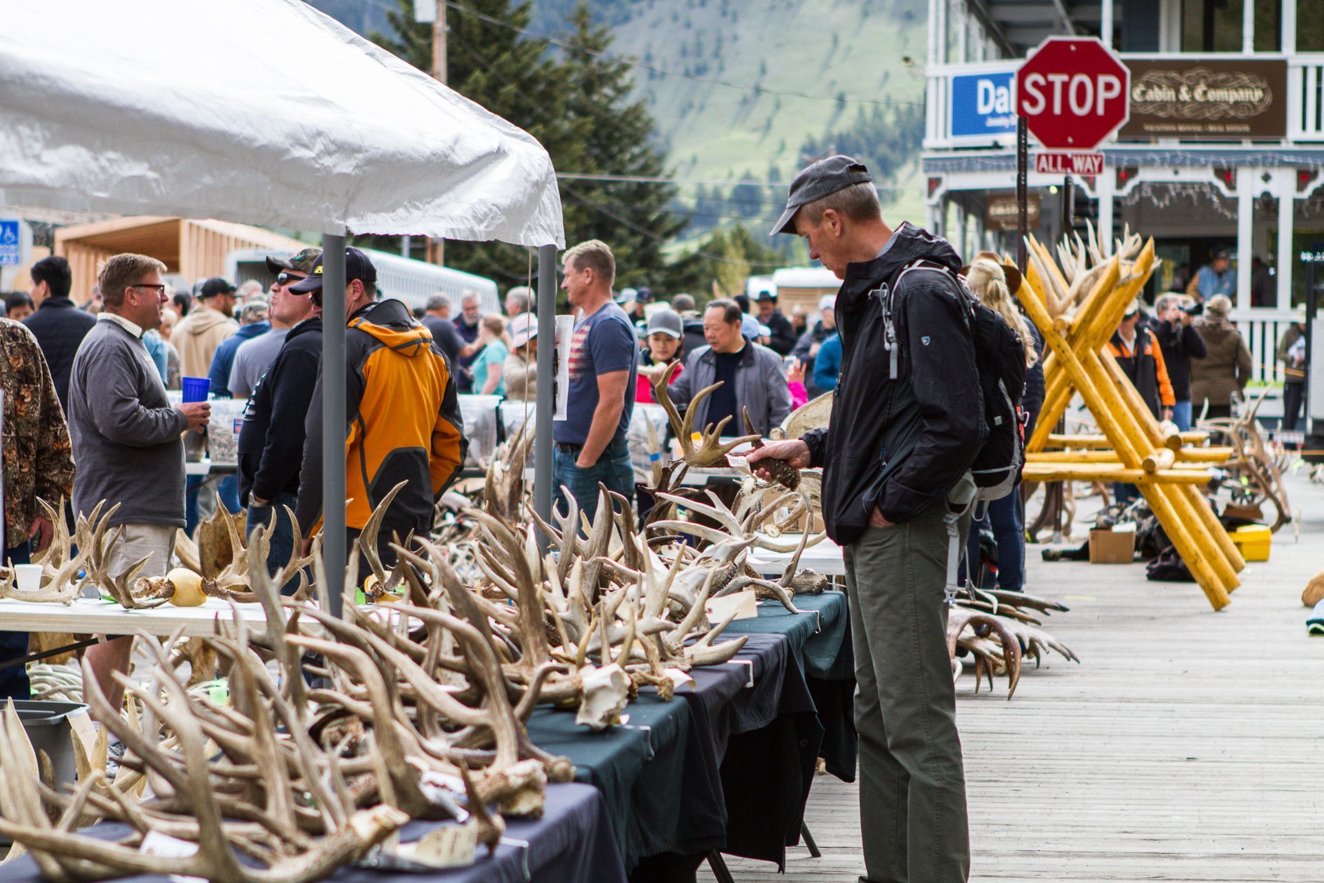 
World's largest elk antler auction, world record in Jackson Hole, Wyomin