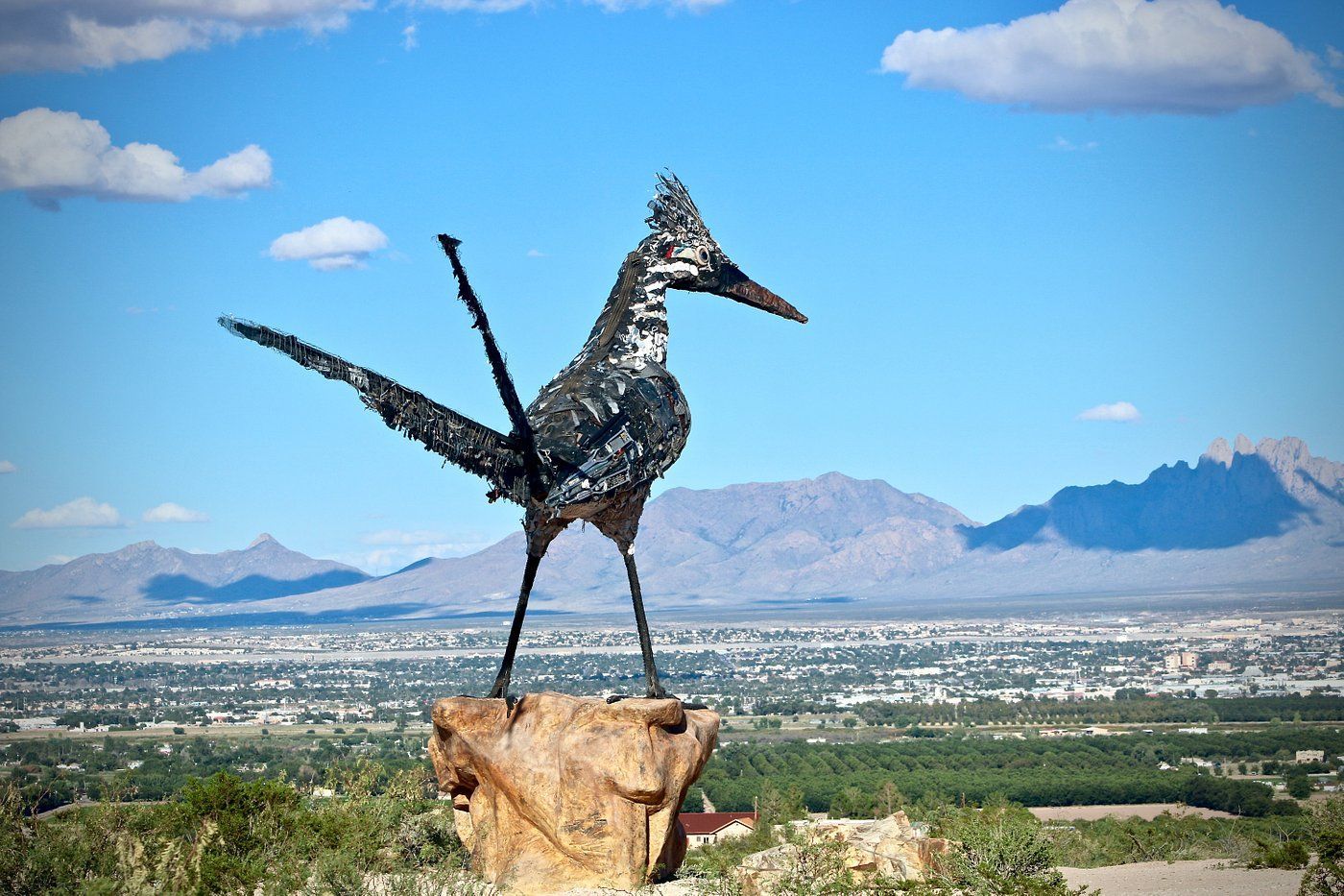 
World's Largest Recycled Roadrunner Sculpture, world record in Las Cruces, New Mexico
