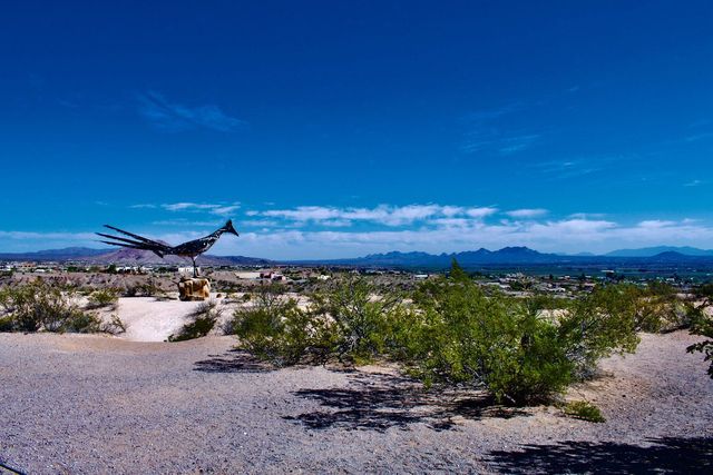 World's Largest Recycled Roadrunner Sculpture, world record