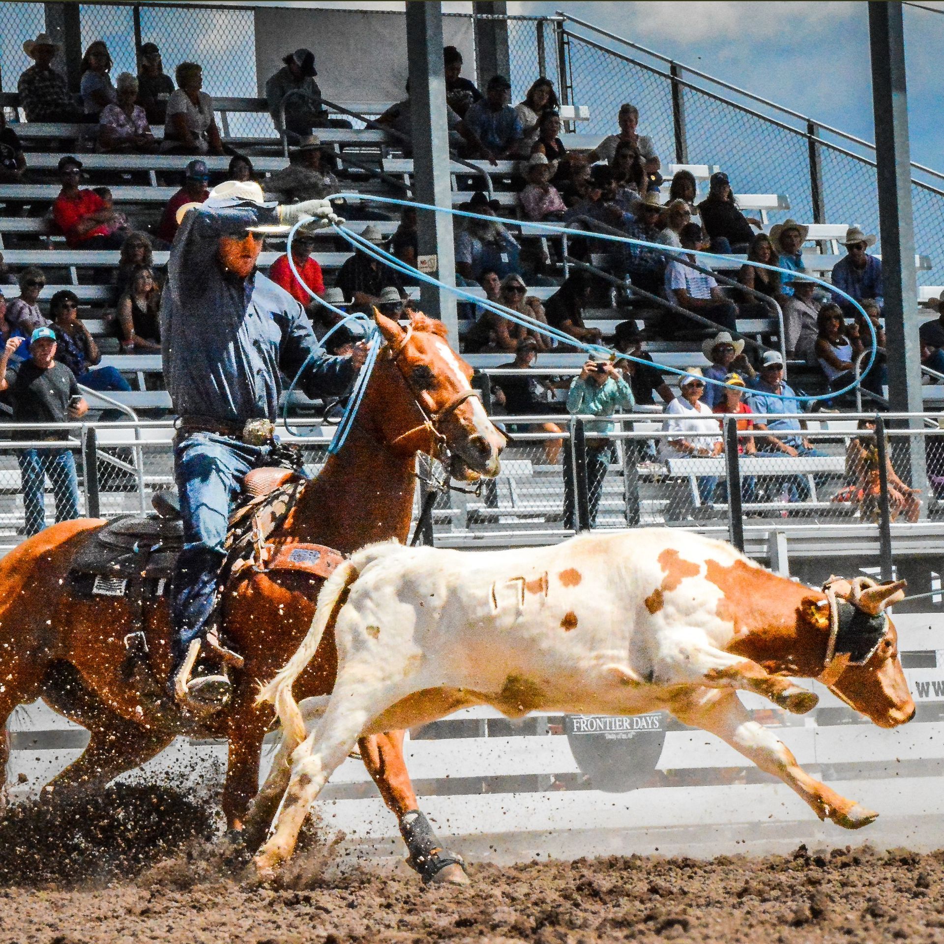 
World's Largest Outdoor Rodeo, world record in Cheyenne, Wyoming