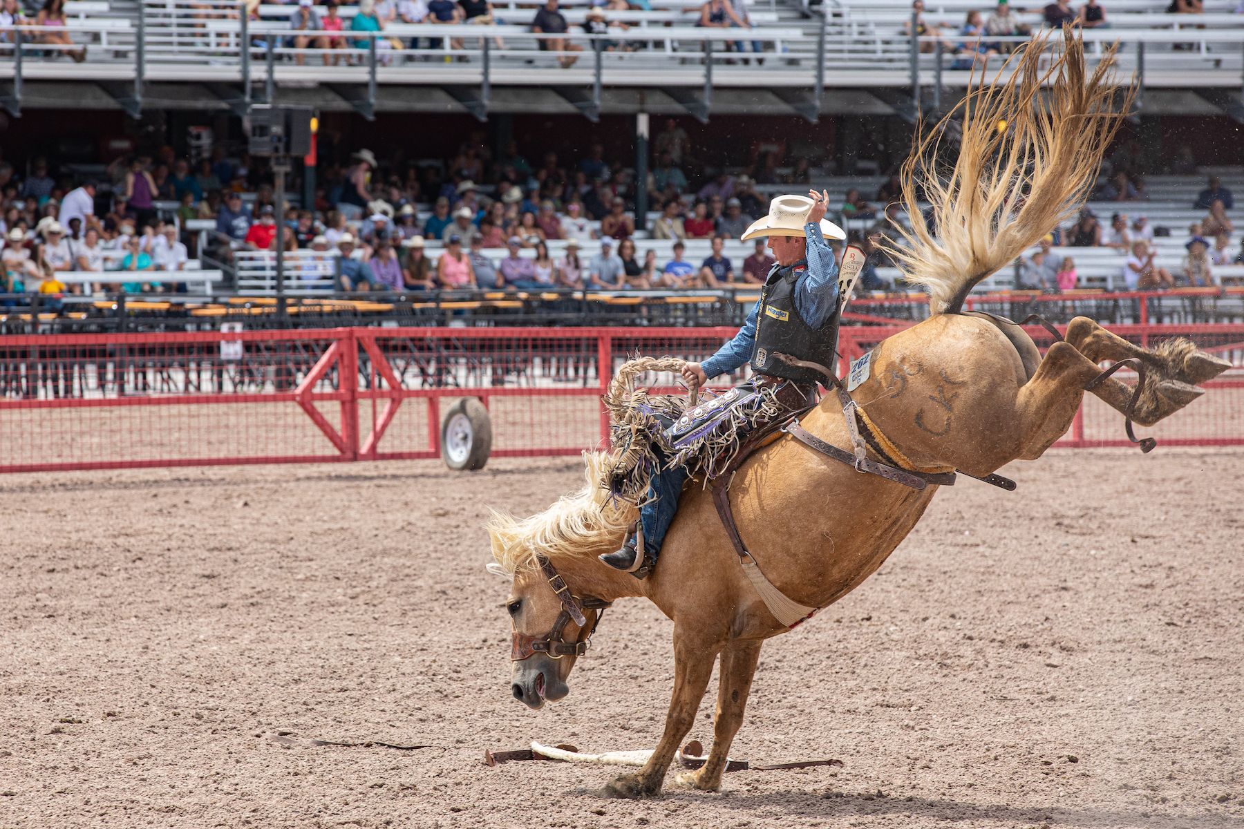 World's Largest Outdoor Rodeo, world record in Cheyenne, Wyoming
