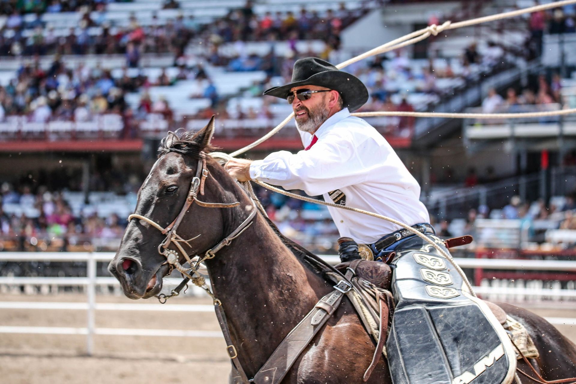 World's Largest Outdoor Rodeo and Western Celebration, world record in Cheyenne, Wyoming