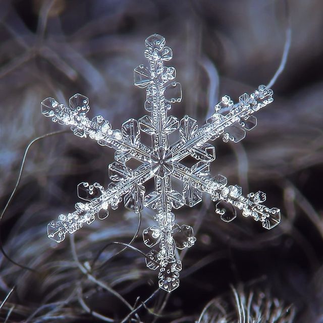 The incredible snowflake - Pennsylvania Wilds
