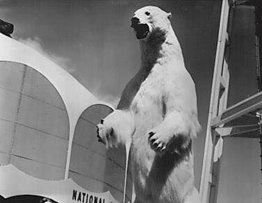 World's Largest Polar Bear, world record at Kotzebue Sound, Alaska