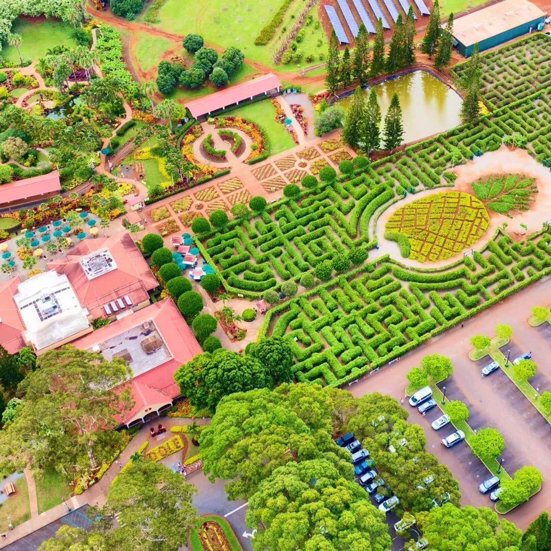 World's Largest Pineapple Maze, world record in Wahiawa, Hawaii