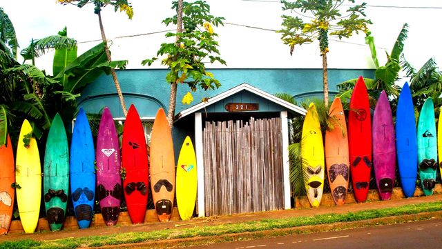 World's Largest Collection of Surfboards, world record in Haiku