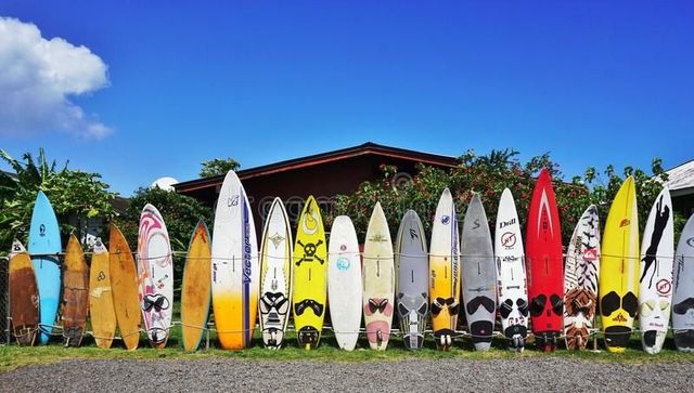 World's Largest Collection of Surfboards, world record in Haiku