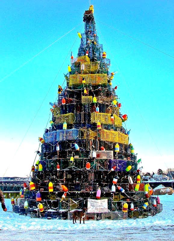 
World's Largest Lobster Trap Christmas Tree, world record in Beals, Maine