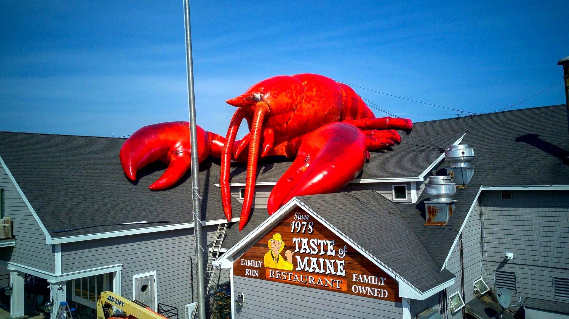 
World’s Largest Inflatable Lobster, world record in Woolwich, Maine