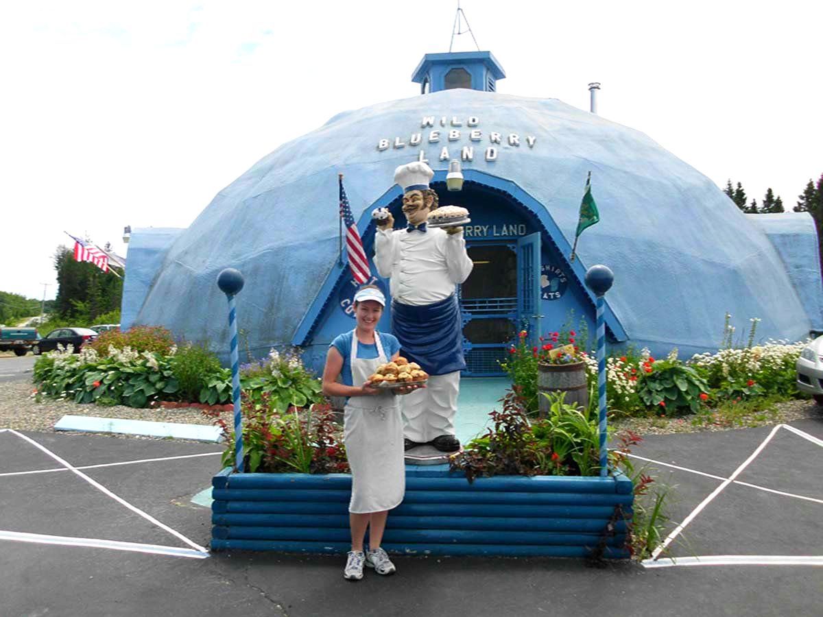 
World's First Blueberry-shaped Shop, world record in Columbia Falls, Maine