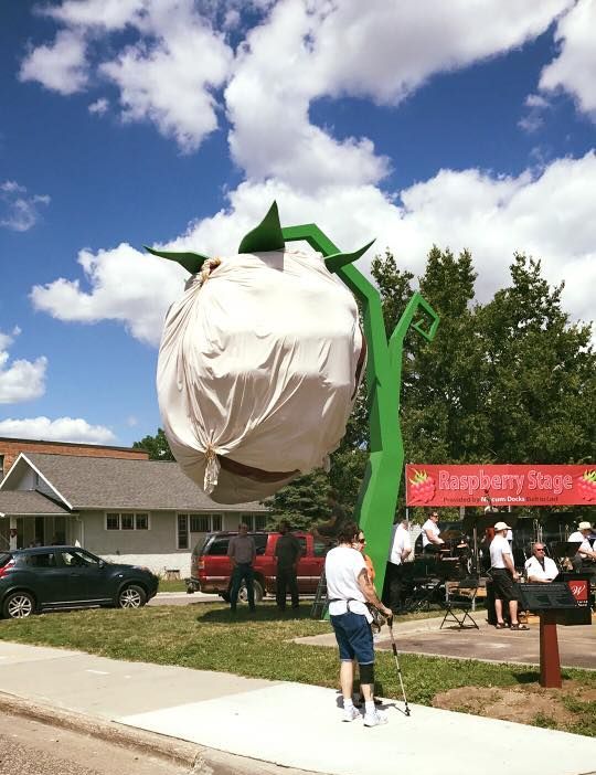 World's Largest Raspberry Sculpture, world record in Hopkins, Minnesota