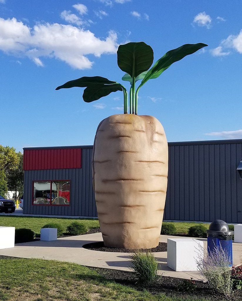 World's Largest Concrete Sugar Beet Sculpture, world record in Halstad, Minnesota