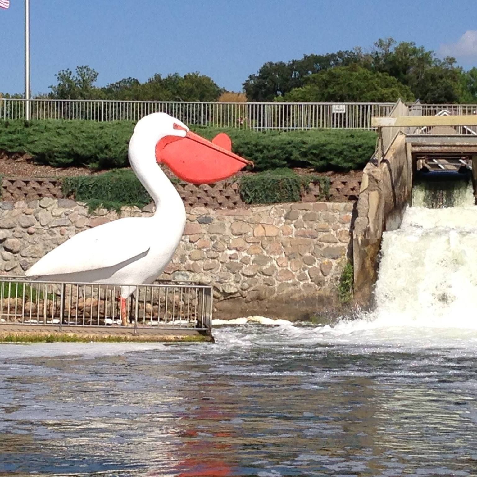 World's Largest Pelican Sculpture, world record in Pelican Rapids, Minnesota

