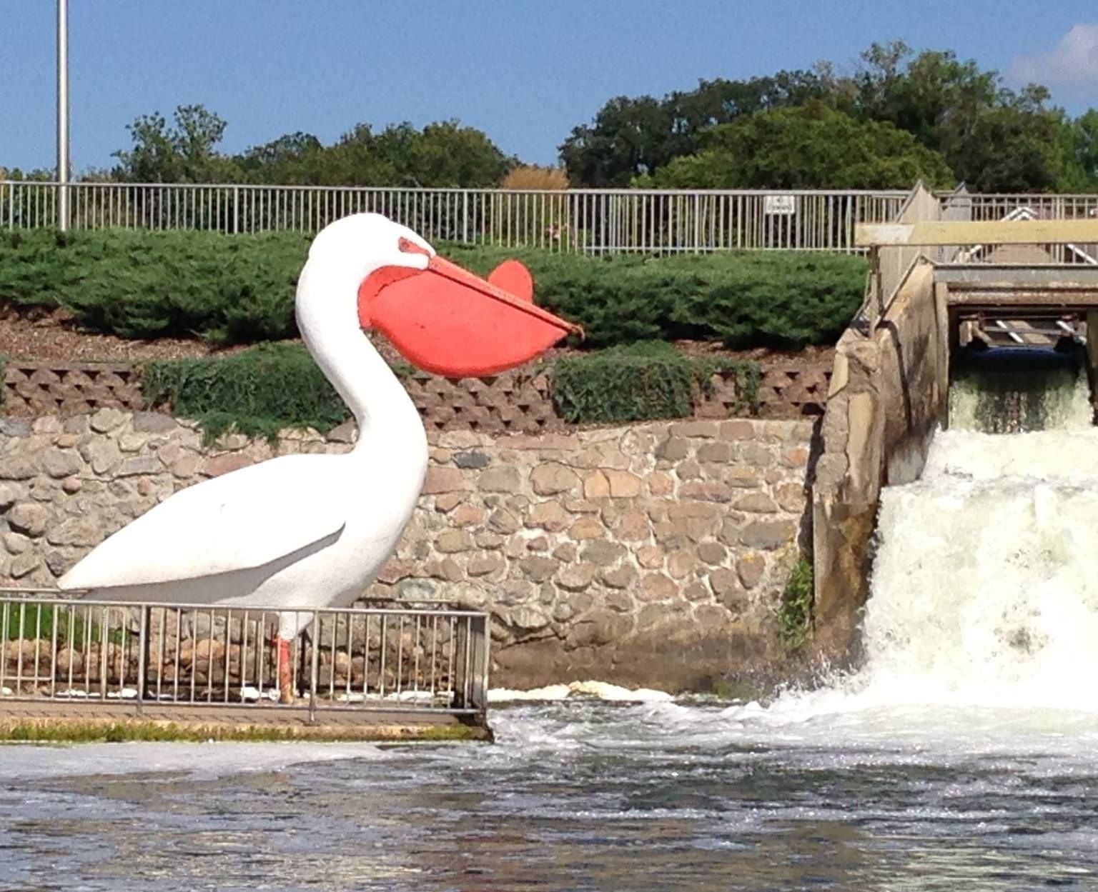 
World's Largest Pelican Sculpture, world record in Pelican Rapids, Minnesota
