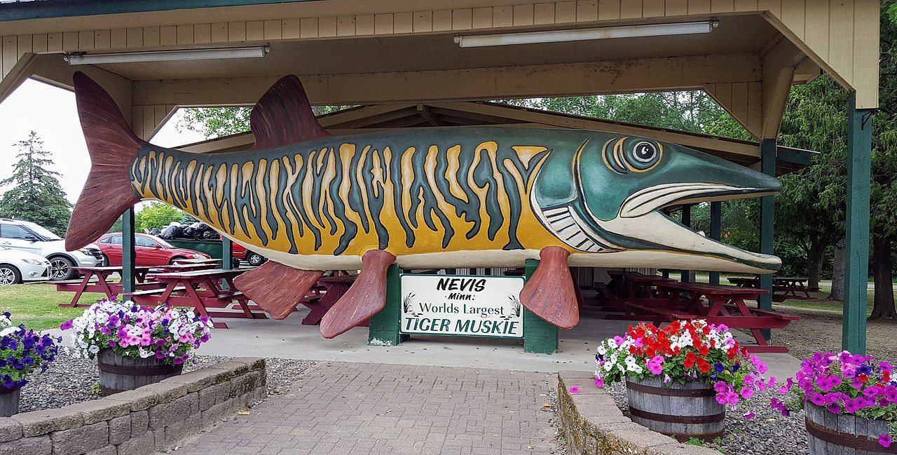 
World's Largest Tiger Muskie Sculpture, world record in Nevis, Minnesota