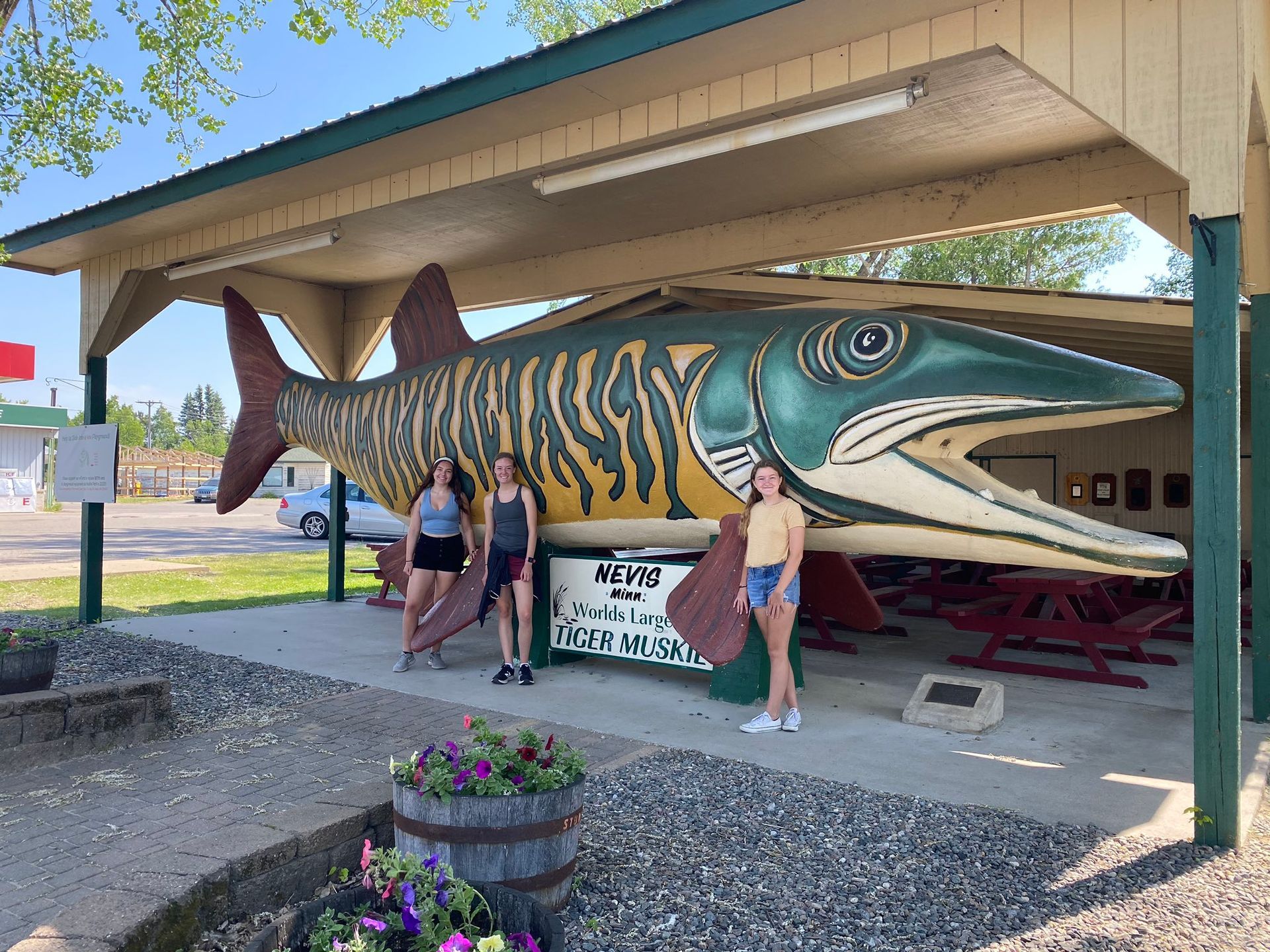 
World's Largest Tiger Muskie Sculpture, world record in Nevis, Minnesota