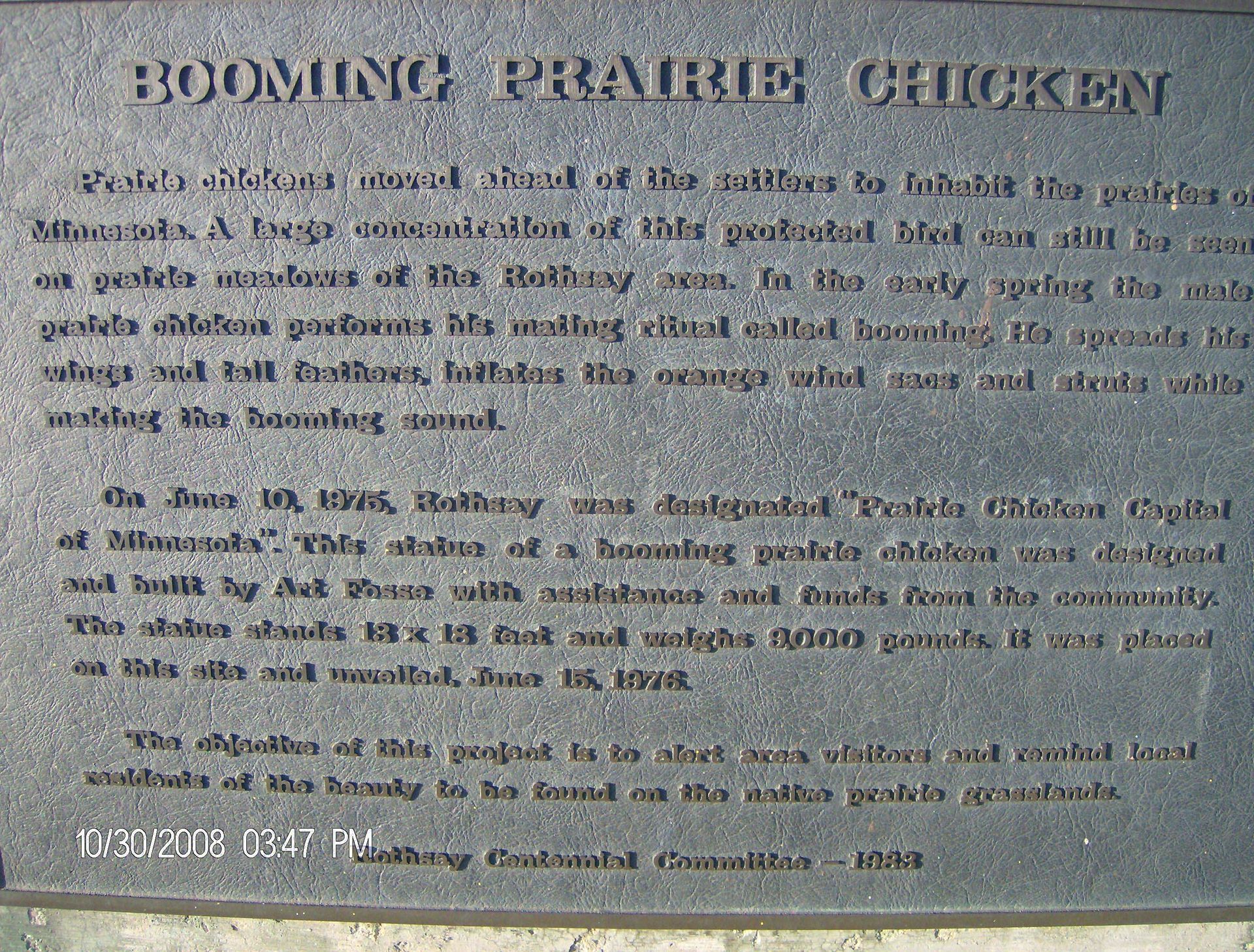 World's Largest Booming Prairie Chicken Sculpture, world record in Rothsay, Minnesota