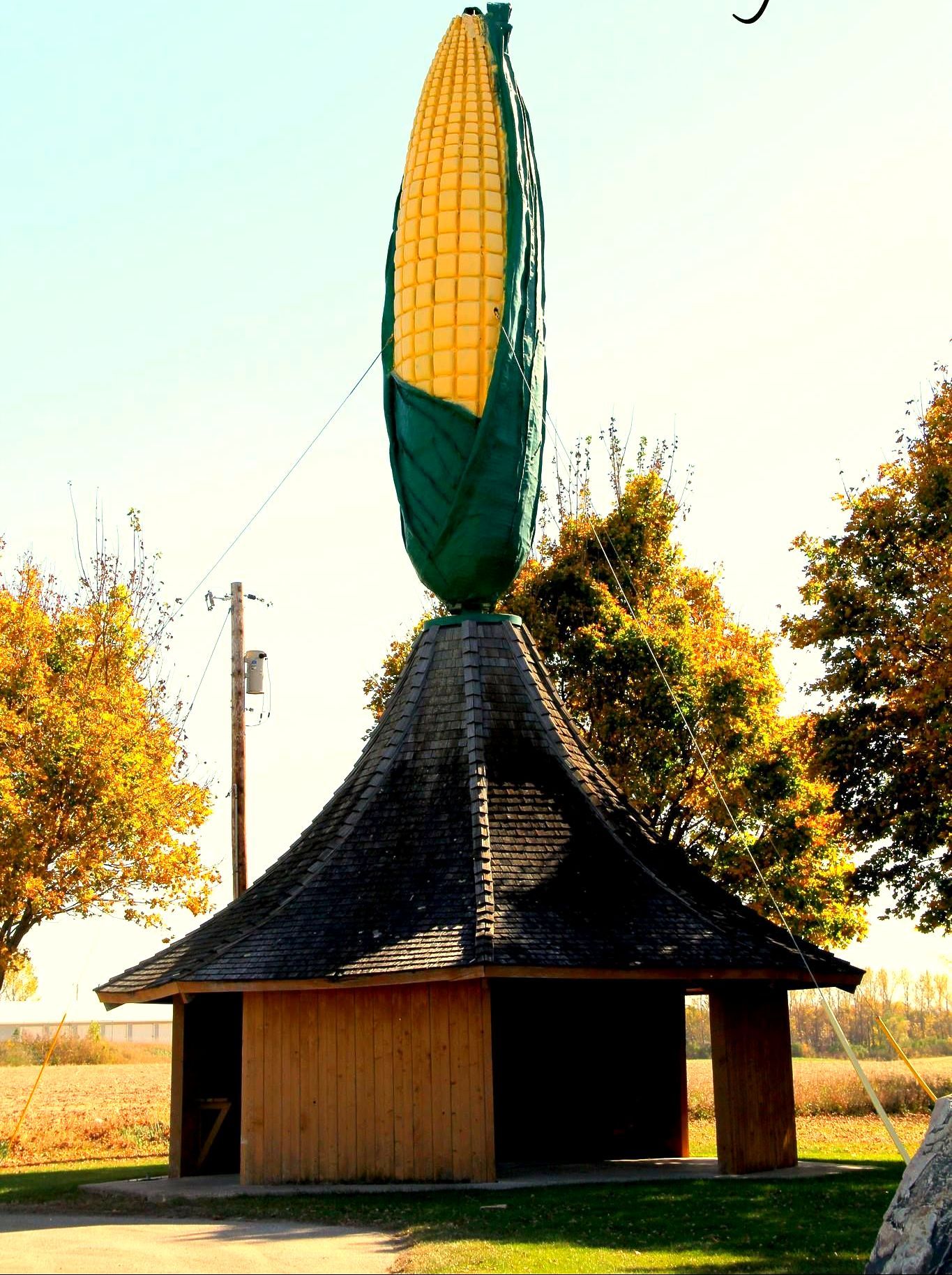World's Largest Ear of Corn, world record in Olivia, Minnesota