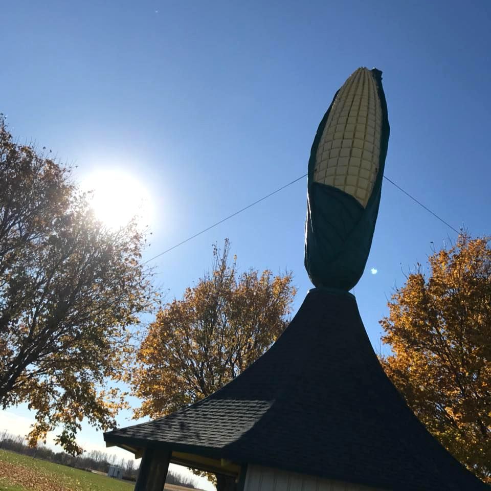 World's Largest Ear of Corn, world record in Olivia, Minnesota