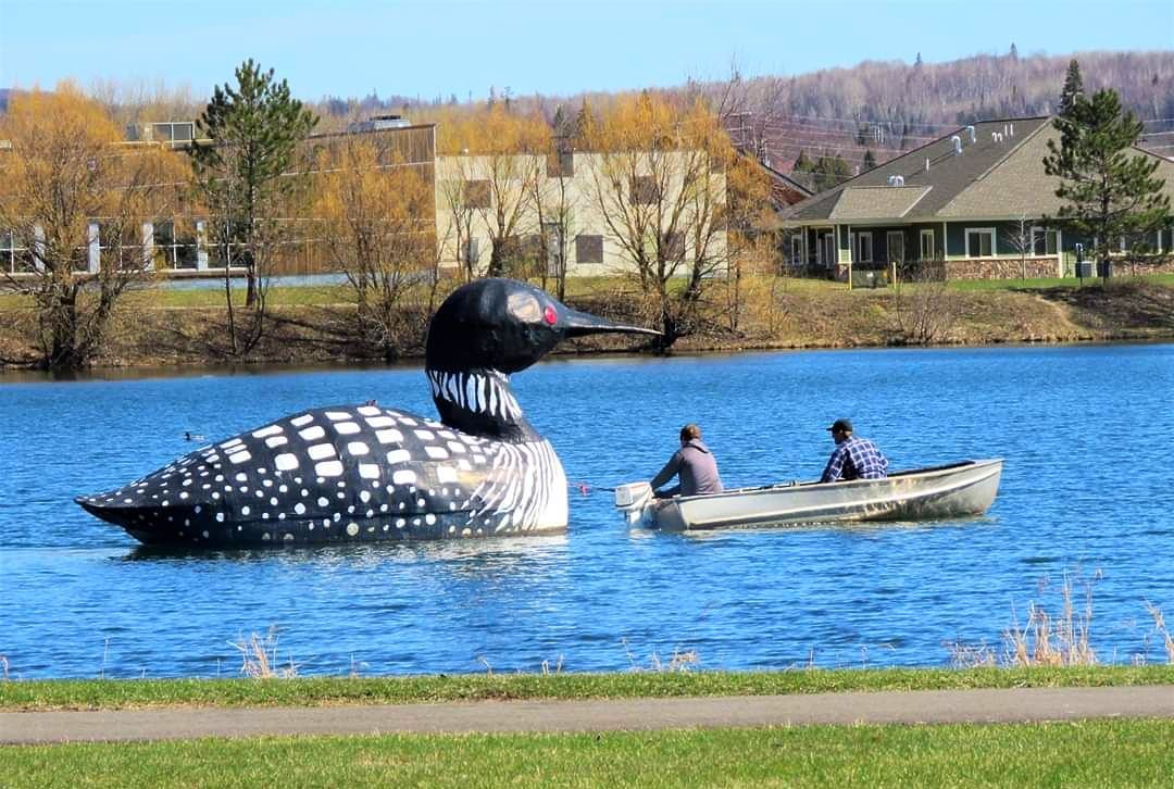 
World's Largest Floating Loon, world record on Silver Lake, Minnesota
