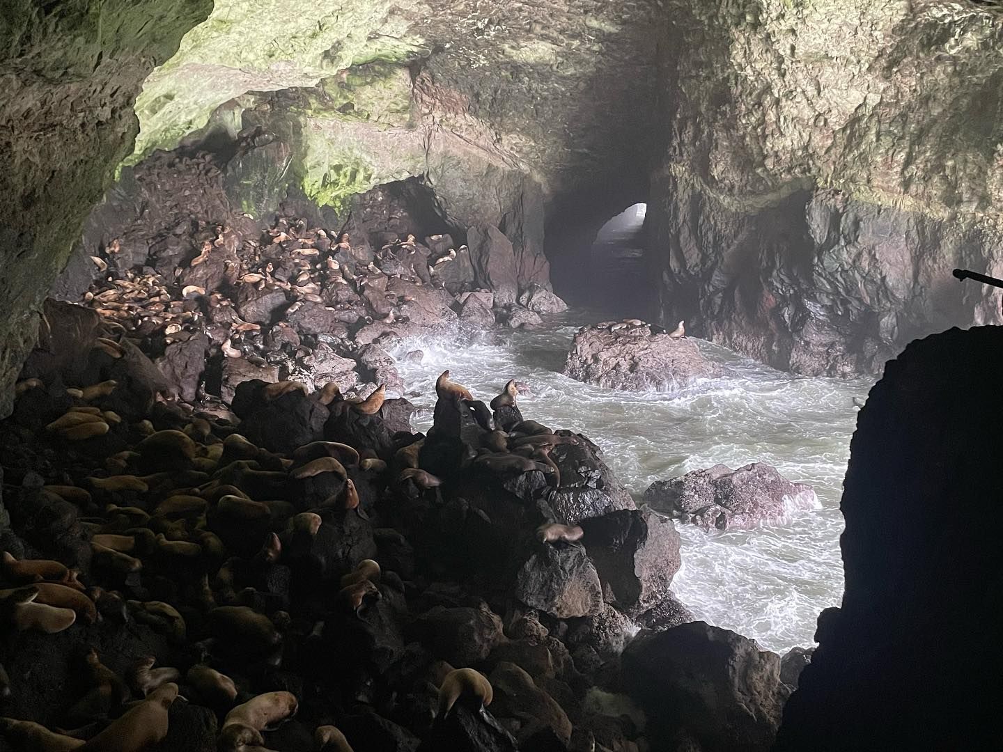 World's Largest Sea Cave, world record near Florence, Oregon