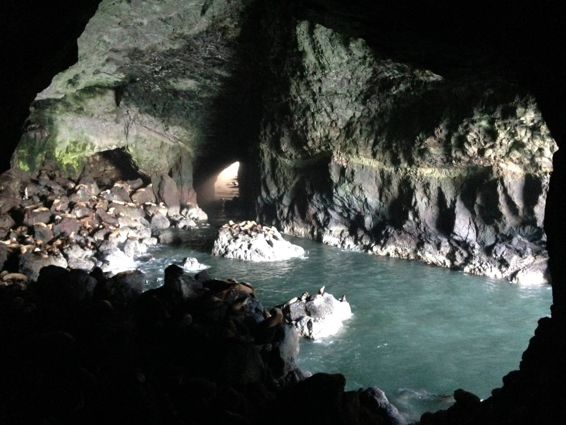 World's Largest Sea Cave, world record near Florence, Oregon
