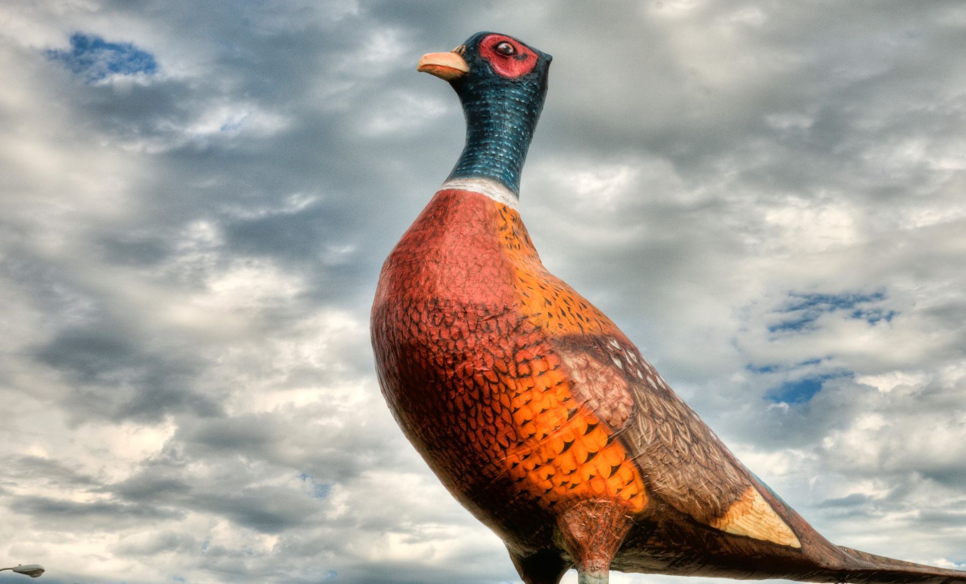 World's Largest Pheasant Sculpture, world record in Huron, South Dakota