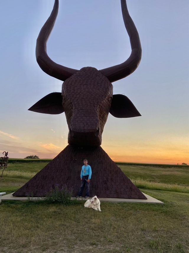 What Is A Bull Head