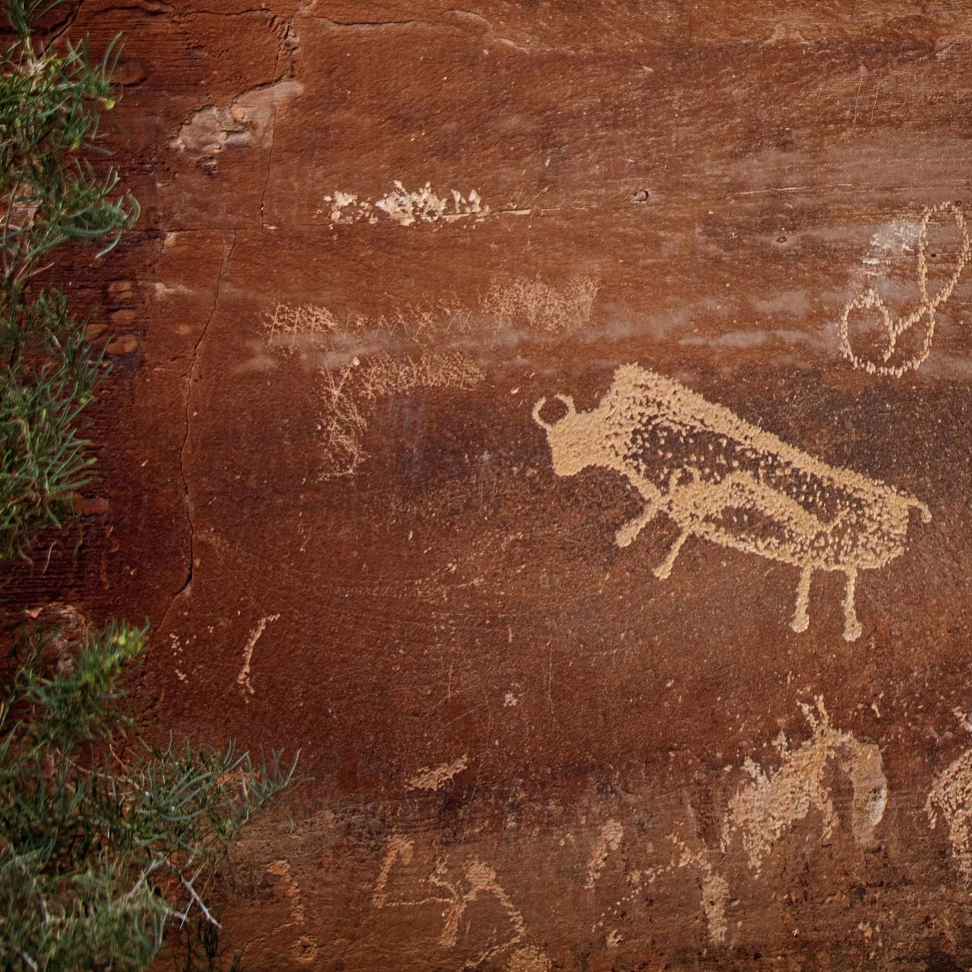 World’s Longest Art Gallery, The Nine Mile Canyon sets world record