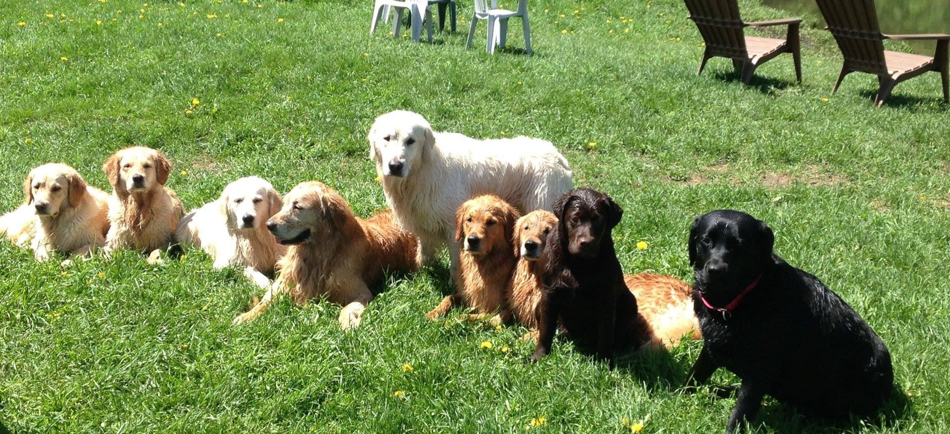 World's First Dog Chapel, world record in St. Johnsbury, Vermont