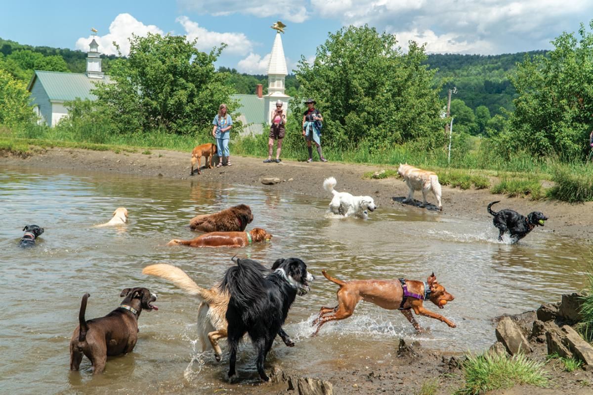 World's First Dog Chapel, world record in St. Johnsbury, Vermont