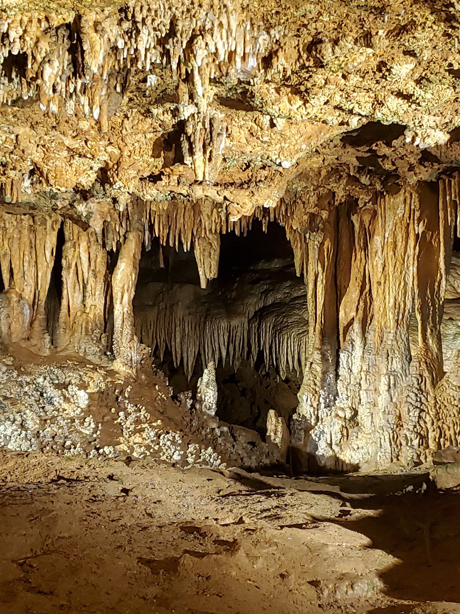 Largest natural underground musical instrument, world record in the Luray Caverns, Virginia