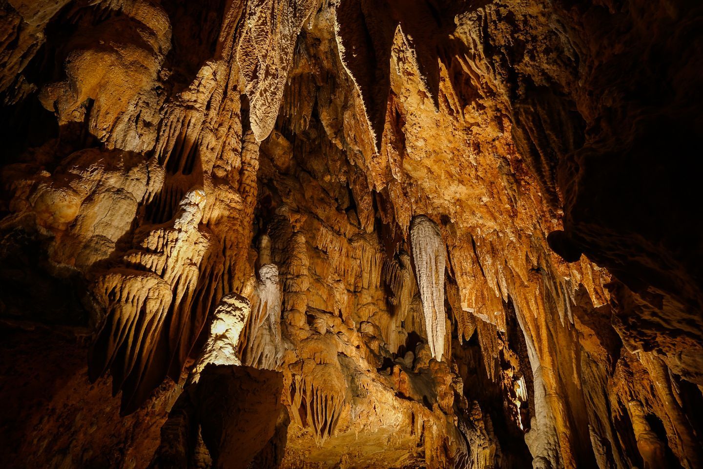 Largest natural underground musical instrument, world record in the Luray Caverns, Virginia