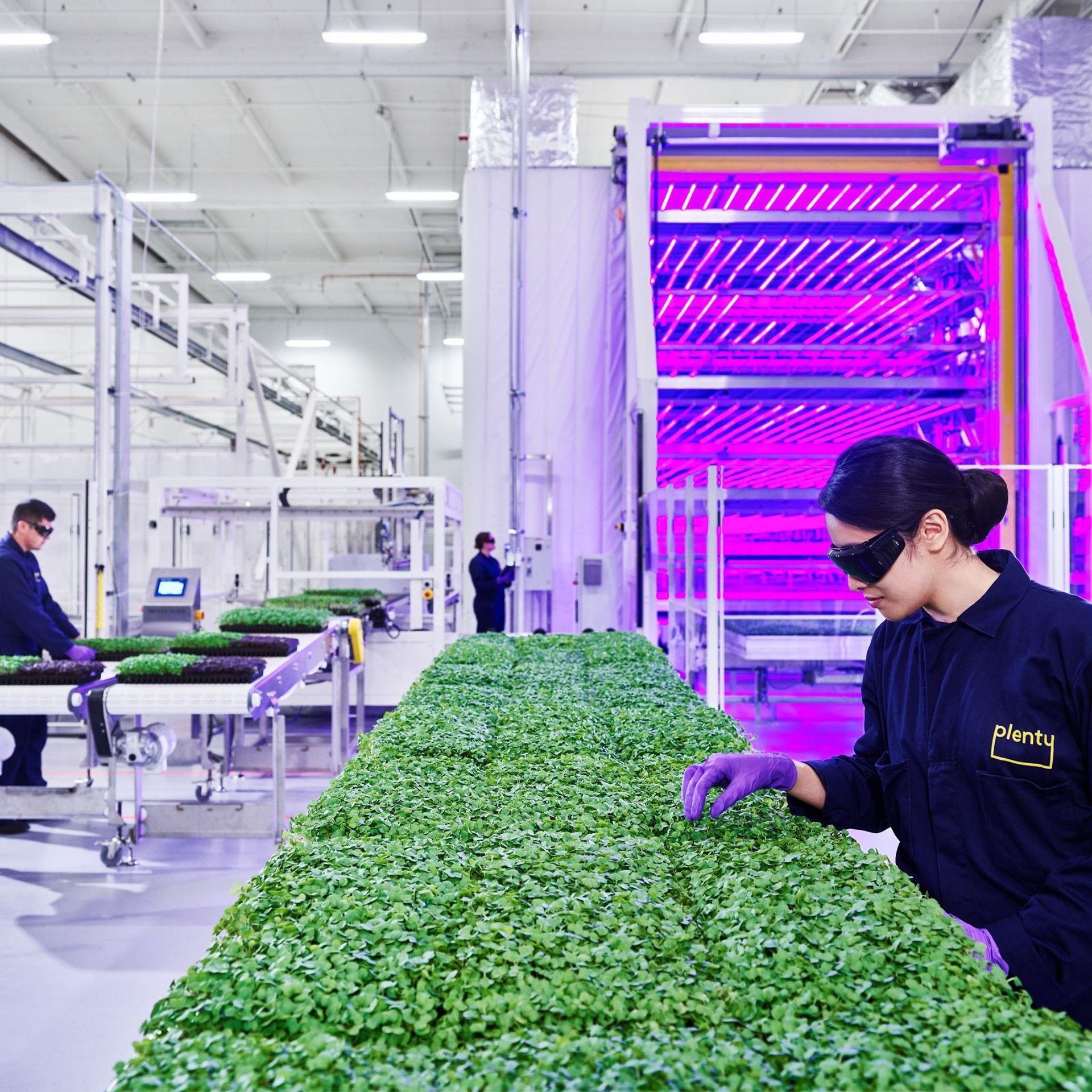 World's Largest Indoor Vertical Farming Campus, world record near Richmond, Virginia
