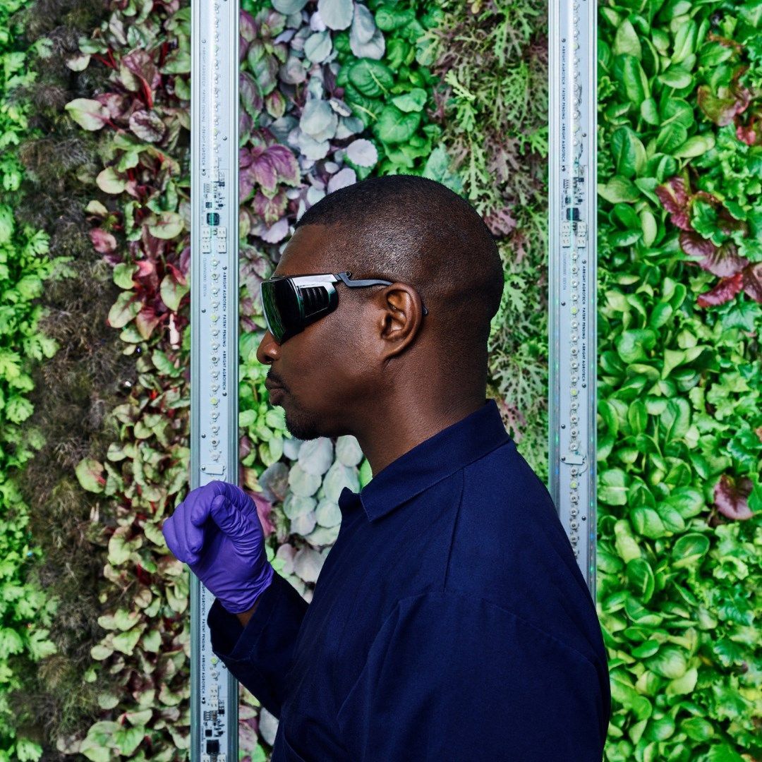 World's Largest Indoor Vertical Farming Campus, world record near Richmond, Virginia
