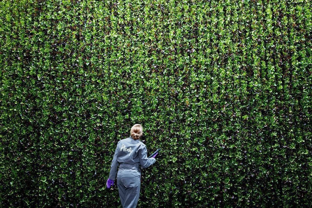 World's Largest Indoor Vertical Farming Campus, world record near Richmond, Virginia
