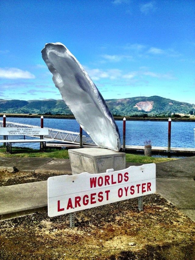 World s Largest Oyster Sculpture world record in South Bend Washington