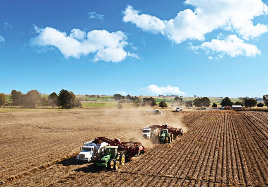 World's highest potato yield per acre, world record in Washington State