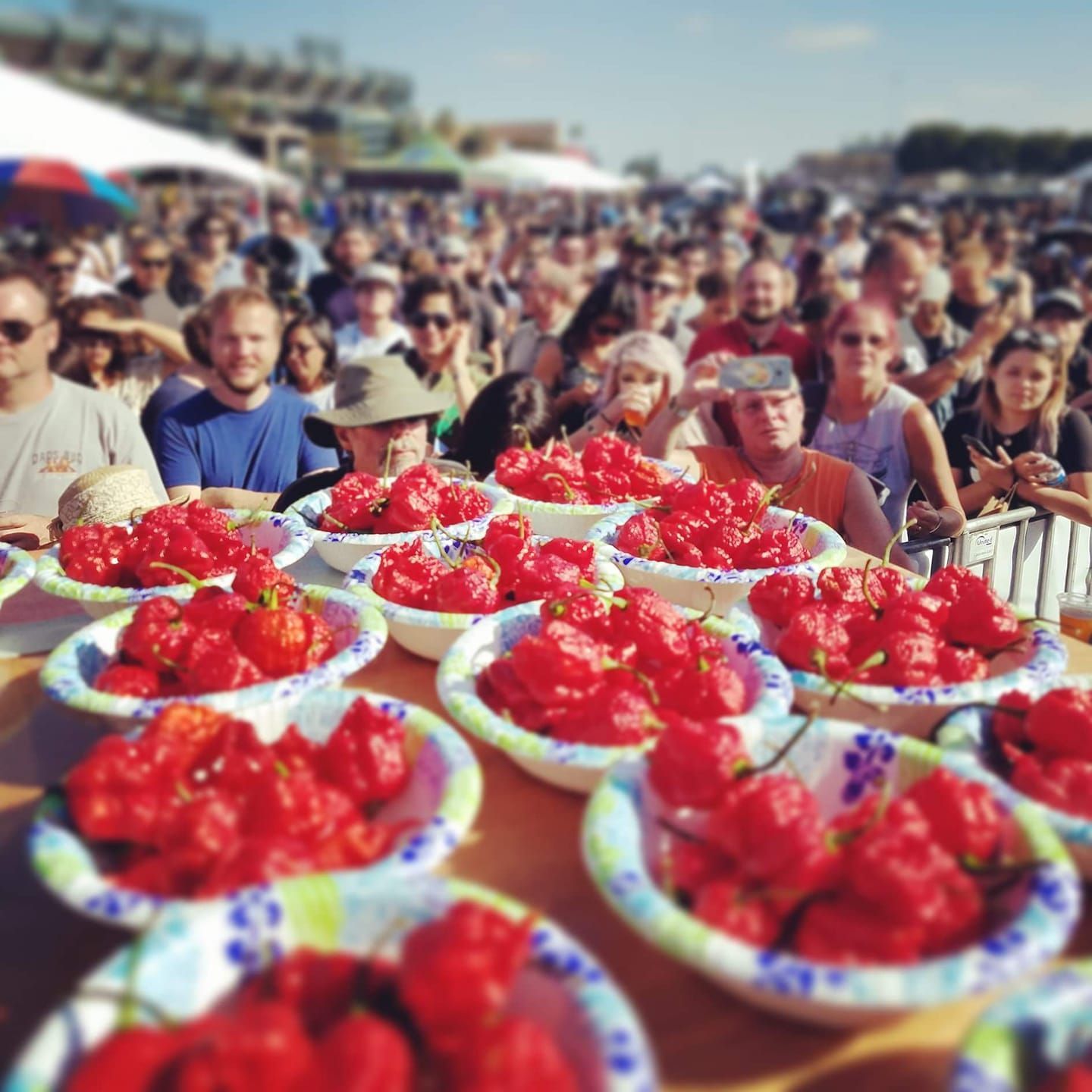 World's Hottest Chilli Pepper, world record in Fort Mill, South Carolina