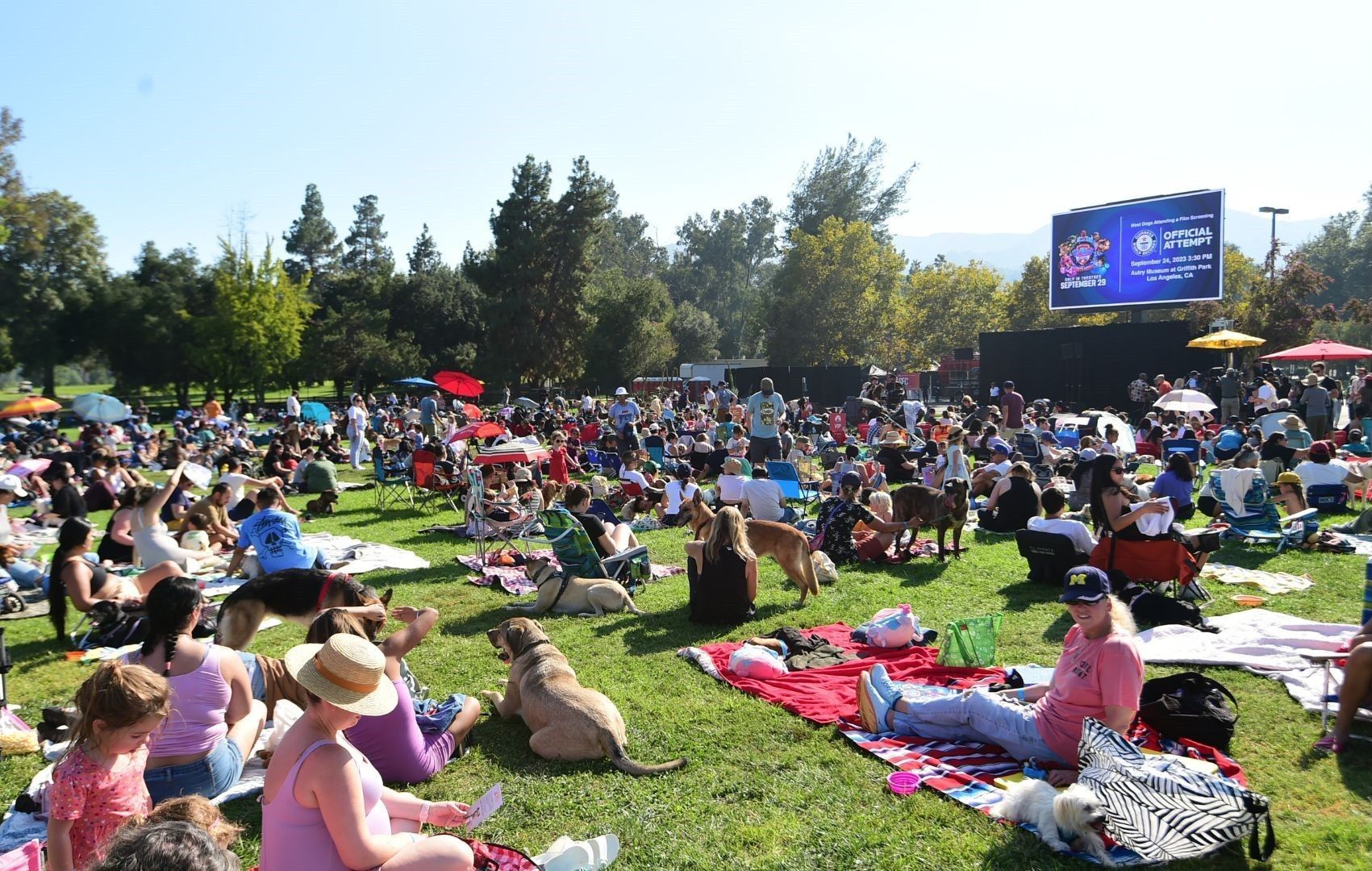 Most Dogs Attending a Film Screening, world record in Los Angeles, California