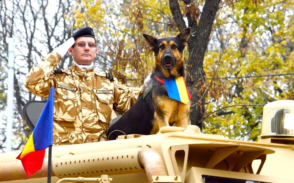 The Hero Dog with the most participation in a National Day parade: Max the Hero Dog